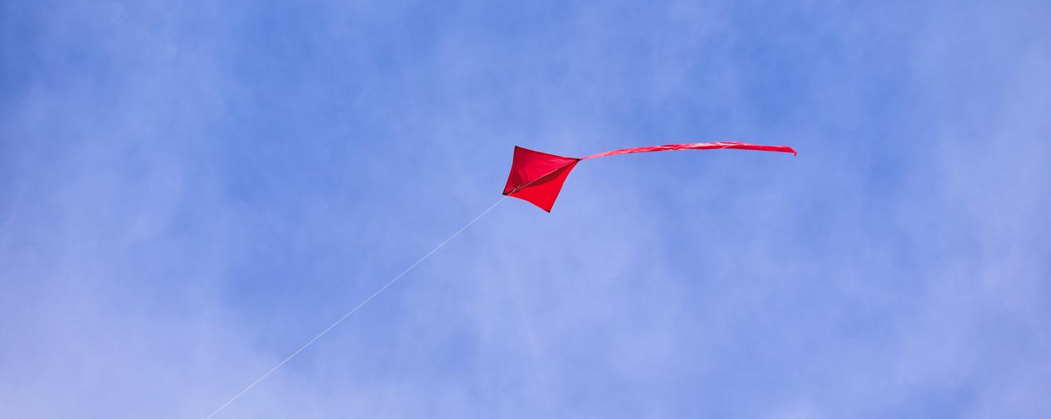 Red kite flying in the sky.